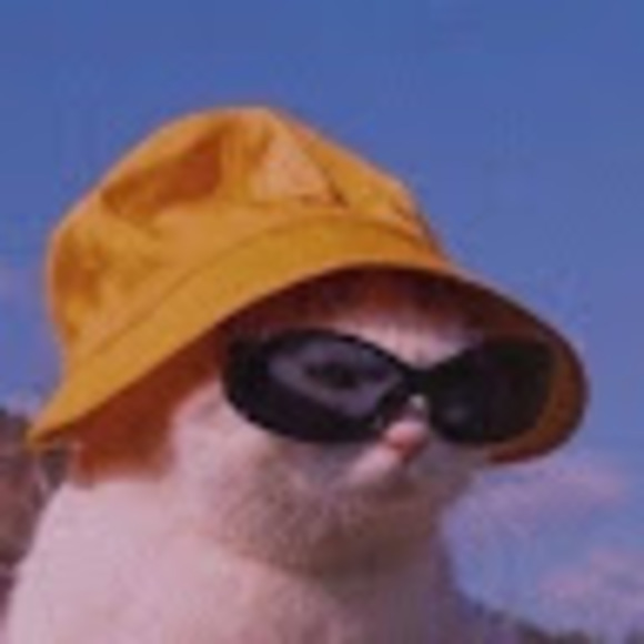 Meet your Posher, Lillian - Picture 1 of 1